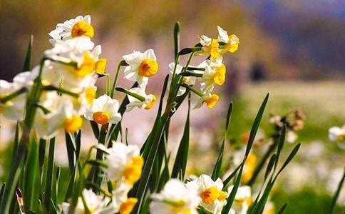 �P���^��ˮ�ɻ������ģ����x10ƪ��