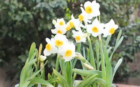 ���p�Ҽҵ�ˮ�ɻ�С�W����