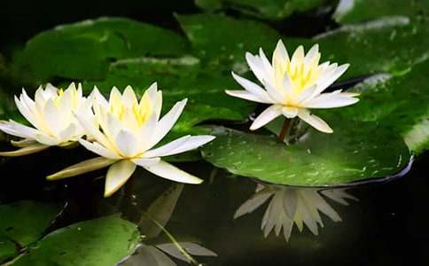 ��˯ɏ����100��