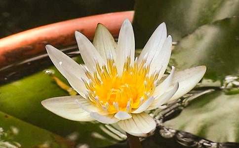 �¹��µ�˯ɏ����