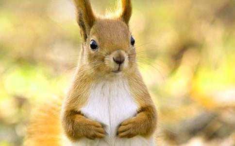 2015��������ɹ��̌W�OӋ