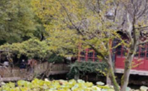 �P���K�݈@�ֵ���x��