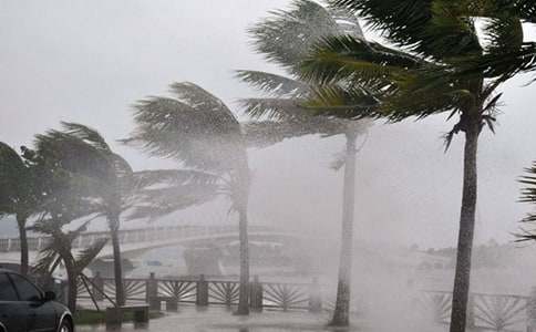 �P���_�L�^�������