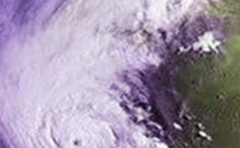 �_�L�����ģ�ͨ��20ƪ��