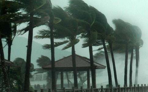 �_�L���˵�����