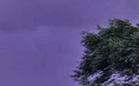 �_�L����250�փ�������