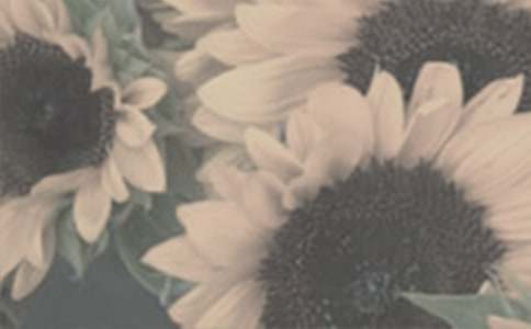 ��������ϲ�g̫ꖻ�����