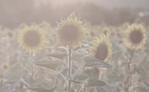 ��ϲ�g��̫ꖻ����ģ����x31ƪ��