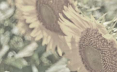 ̫ꖻ�С�W����(15ƪ)