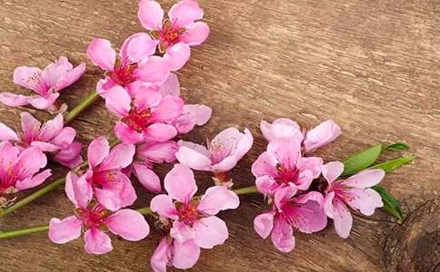 �����һ��_����750��