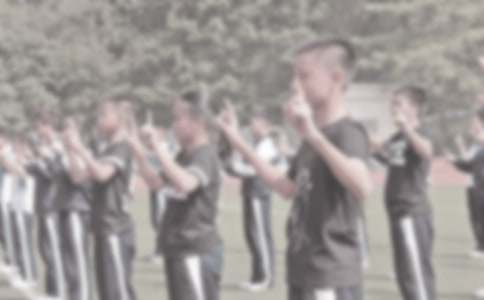 С�W�w���̌W���Y2017