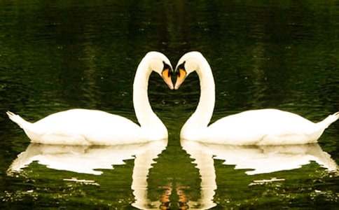 �����c���Z��ͯԒ����