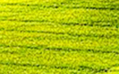 ���᡿�����е���Ұ����