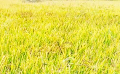 �O���҂�����Ұ���~