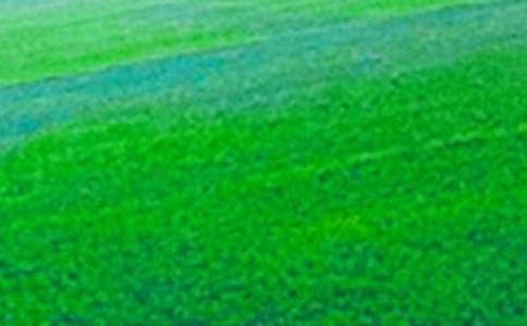 ���C���õ���Ұ�����D����