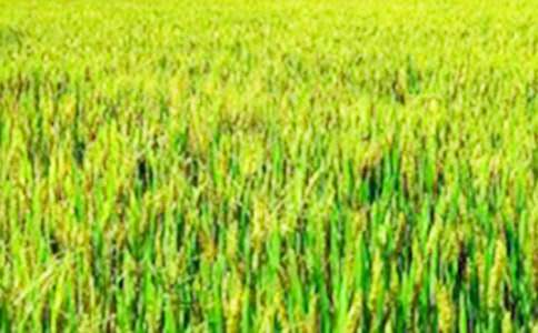 �S����Ұ����