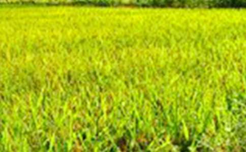 ��ϣ������Ұ�����ģ�ͨ��52ƪ��