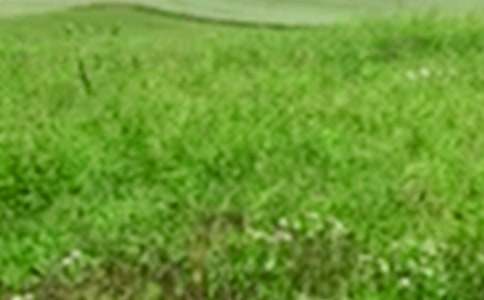 ���M��Ұ���ļ��\13ƪ