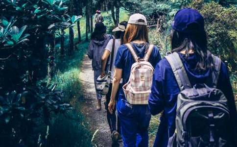 ��ͬ�W������100�֣����x22ƪ��