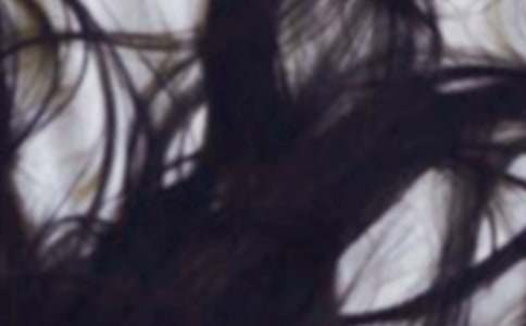 ���H���^�l���ľ��x5ƪ