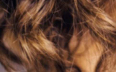 �茑����^�l���~�Z����