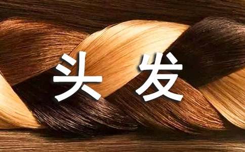 �ϰֵ��^�lС�W����