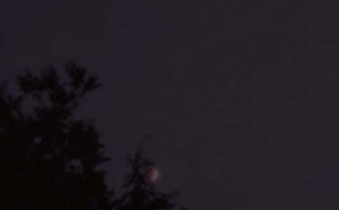 治愈晚安簽名(通用295句)