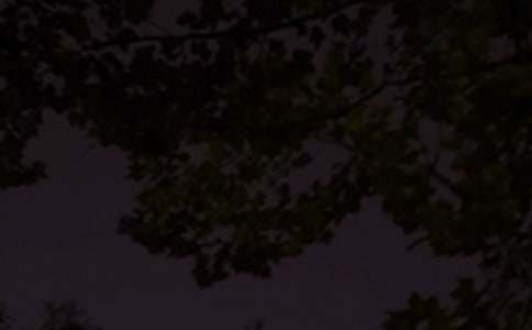 ����Ȧ���������Z�R��120�侫�x