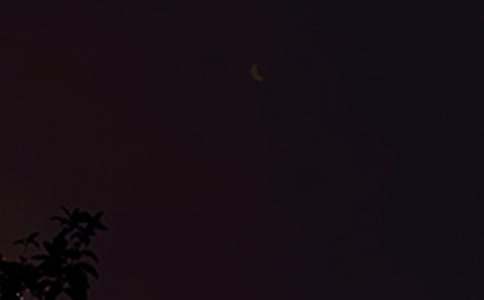 ���]�����������������x100�䣩