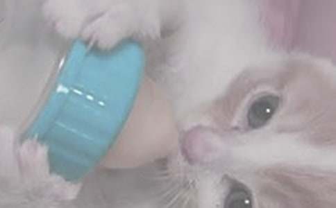 �oС��ι������