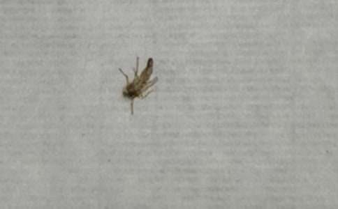 ���ӵ�����600����ƪ