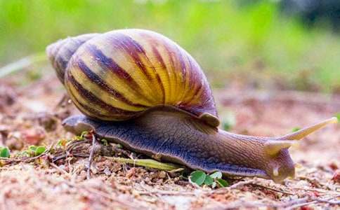 ΁ţ������С�W����