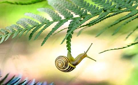 �^��΁ţ�İl�F����