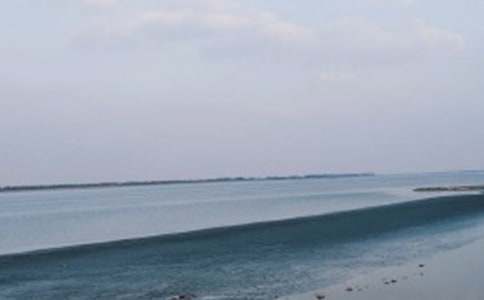 �҂�����ȥС�W����800��