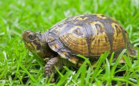 �茑С����������_��������