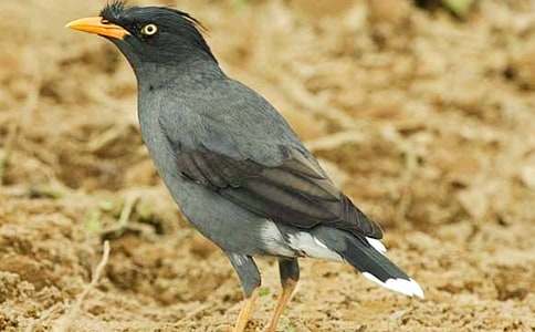 �P�����f��ˮ����