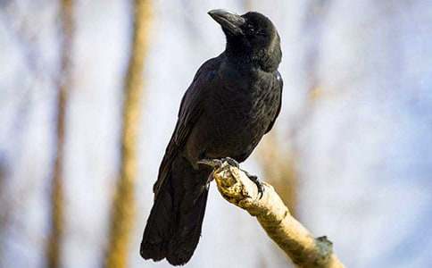 ���f��ˮ�x��У����x25ƪ��