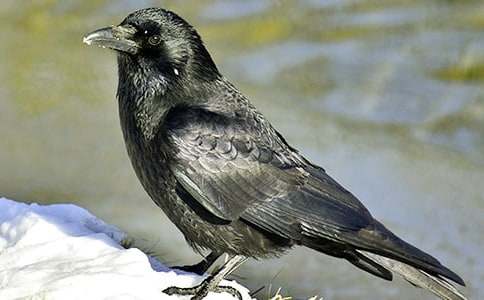 ���f��ˮ�m������8ƪ