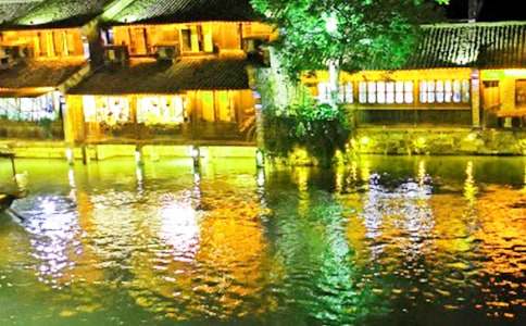 烏鎮我又來了作文600字