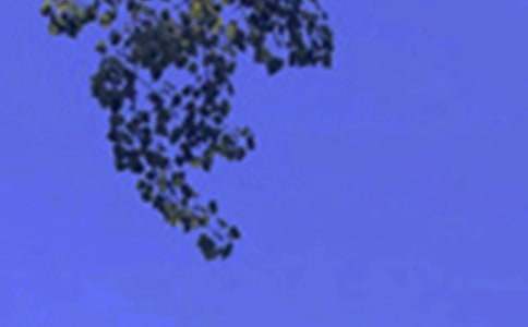 治愈系午安心語QQ42句