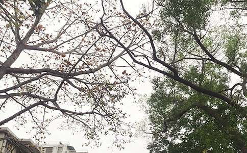 ��ܰ���簲���Z35��