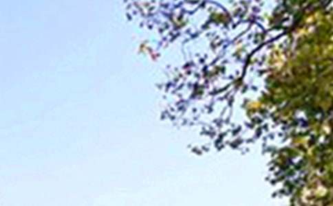 Ψ�����簲���Z���ż��\83�l