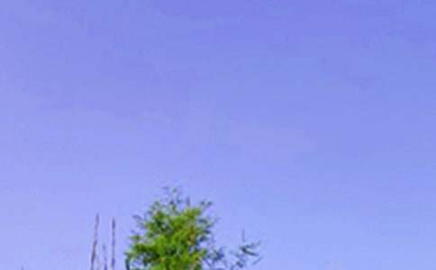 唯美的午安心語微信