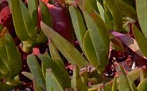 �簲���ZQQ�R��51��