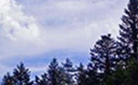 �P��ů���簲ף���Z��ȫ��ͨ��100�䣩