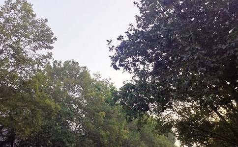 �P��Ψ���簲����30��