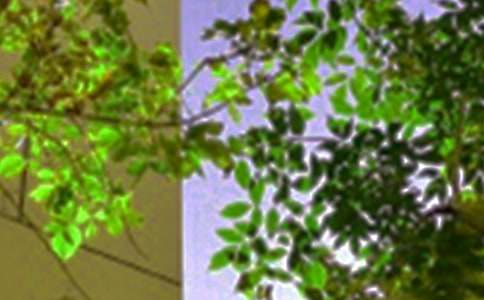 �P�ڂ����簲���������x60�䣩