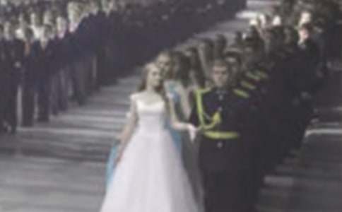 ɭ���������300�֣����x23ƪ��