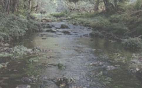 СϪ���ĉ�������