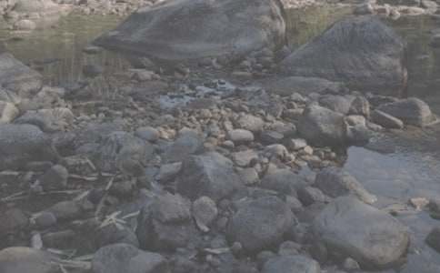 賈平凹《溪流》及賞析